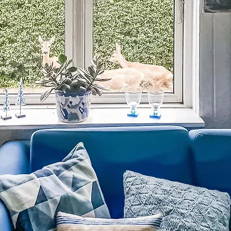 Pet Friendly In With Wifi Dom wakacyjny Slagelse